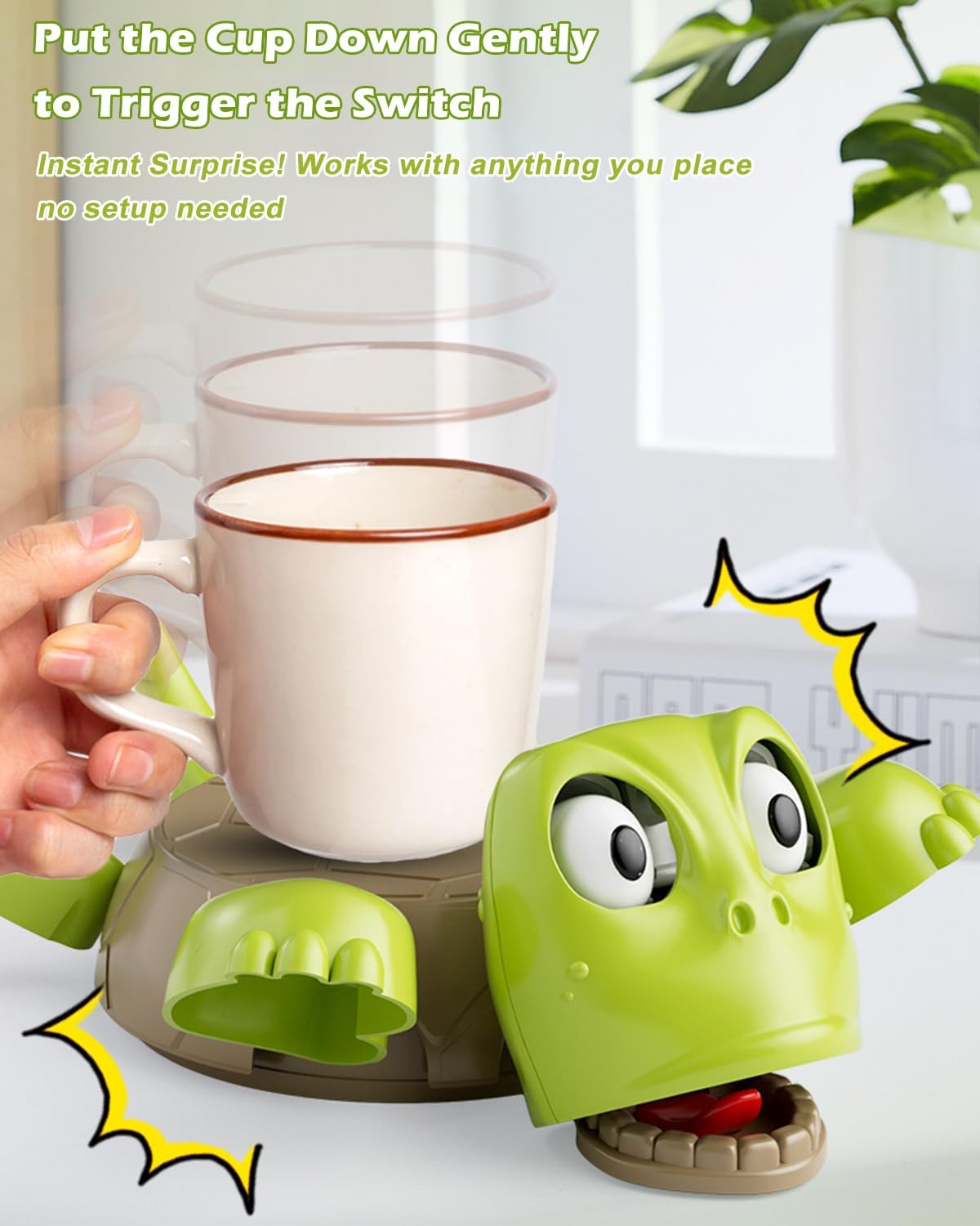 Lazy Turtle Coaster