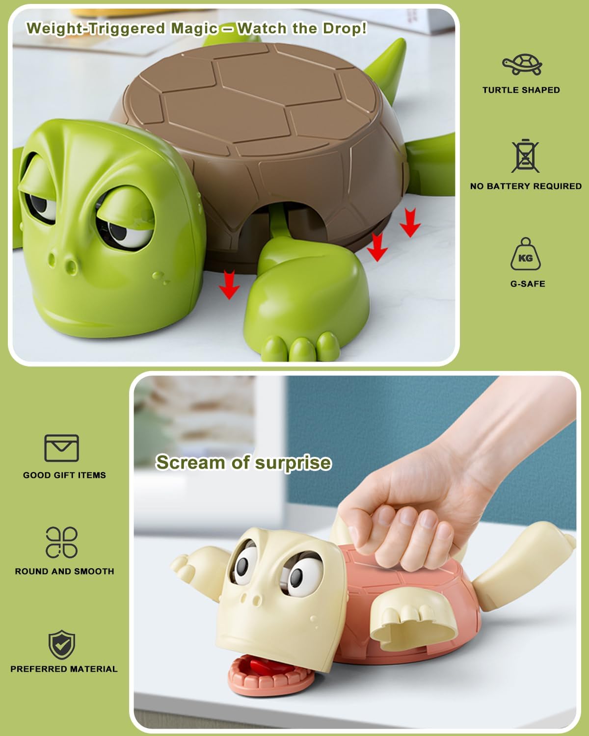 Lazy Turtle Coaster
