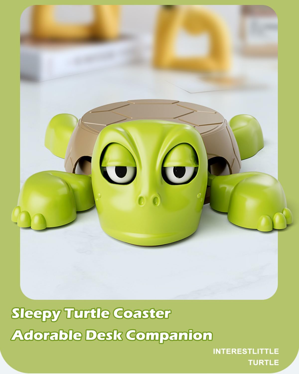 Lazy Turtle Coaster